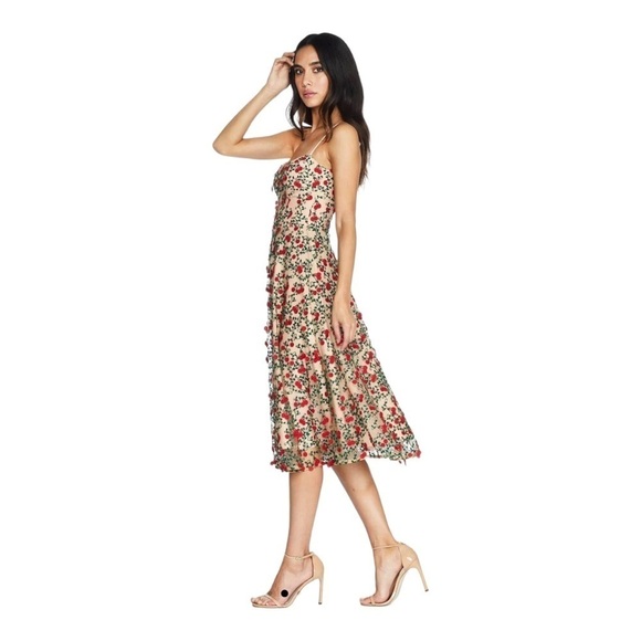 NWT DRESS THE POPULATION Janice Romantic Nude Floral Embroidered Midi Dress XS - Picture 8 of 16